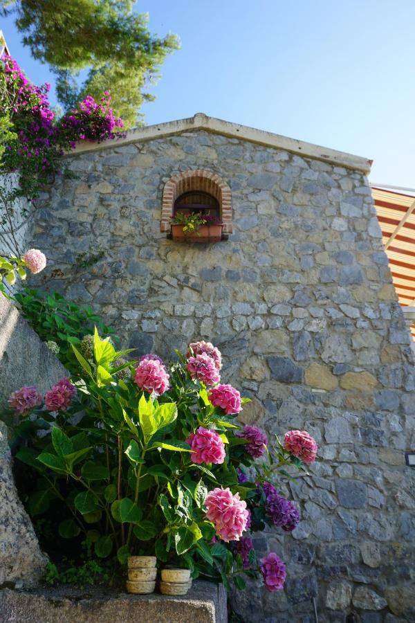 B&B Villa La Petra San Nicola Arcella Exterior photo